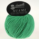 MIAMI-8924-GROEN