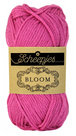 Bloom-407-Fuchsia