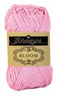 Bloom-409-Rose