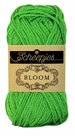 Bloom-412-Light-Fern
