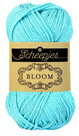 Bloom-419-Forget-me-not