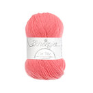 Our-Tribe-876-Apricot-Blush